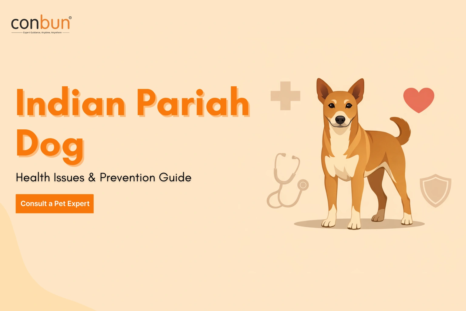 Indian Pariah Dog Health Issues: Complete Prevention Guide